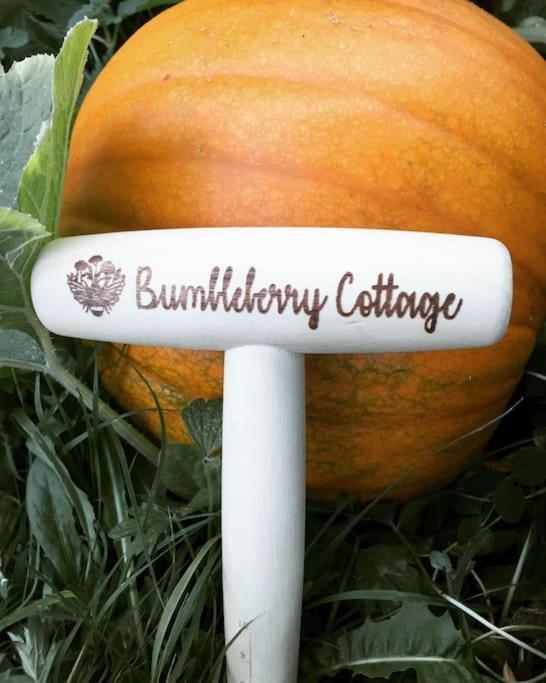 Bumbleberry Cottage Gresford Eksteriør billede